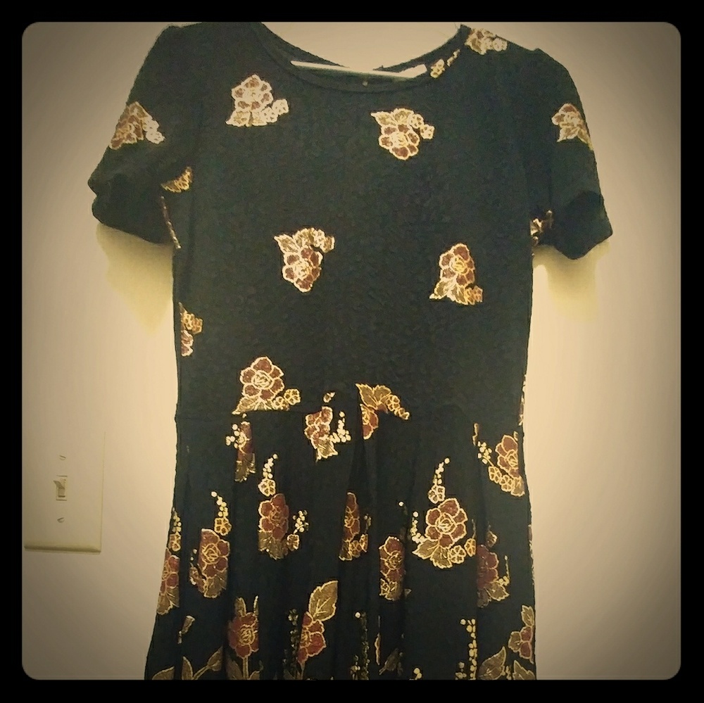 Large Lularoe Amelia